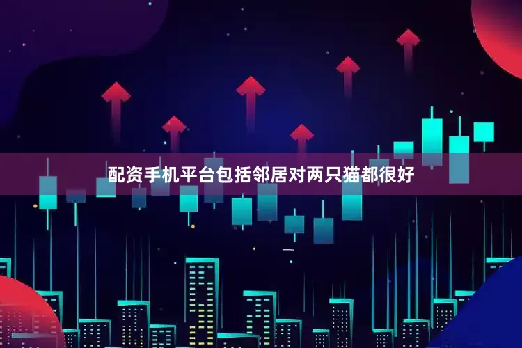 配资手机平台包括邻居对两只猫都很好