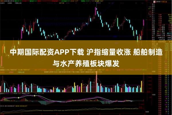 中期国际配资APP下载 沪指缩量收涨 船舶制造与水产养殖板块爆发